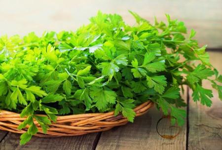 تاثیرات شگفت انگیز ۶ گیاه در مبارزه با سرطان، ثابت شده است