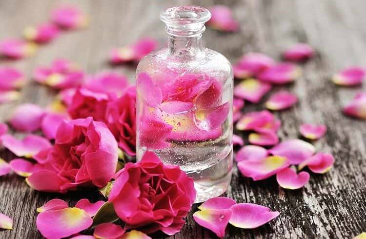 گلاب برای جوانی و شادابی پوست غوغا می کند!