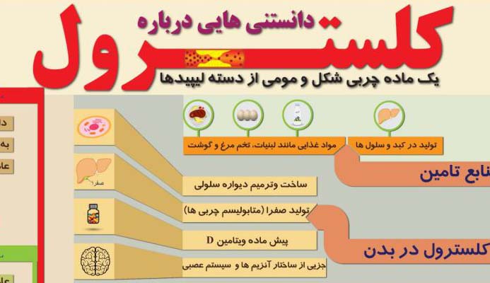 اینفوگرافیک/در مورد کلسترول چه می دانید؟