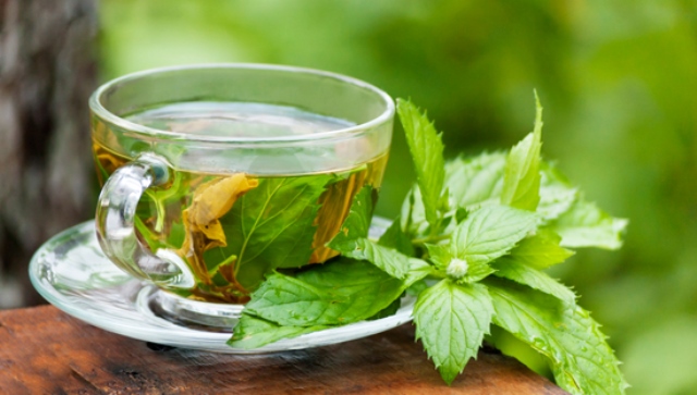  7 آنتی هیستامین طبیعی برای کاهش آلرژی ها
