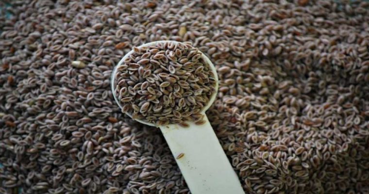 میزان سلامت معده‌ی خود را با این خوراکی تست کنید 