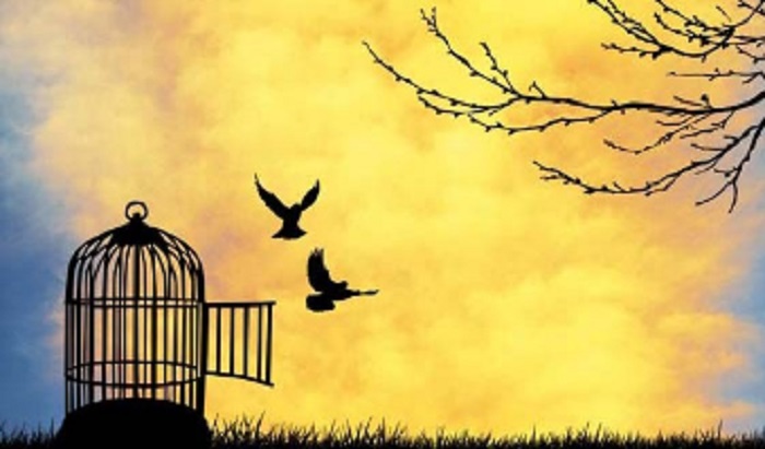 ثمره آزادگی برای سبک زندگی