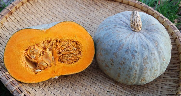 ۶ روش‌ خلاقانه برای پخت غذا با کدوحلوایی