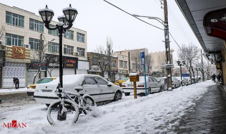 بارش زیبای برف در اردبیل + عکس