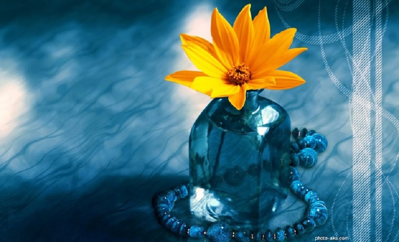 سبک زندگی را از امام رضا (ع) بیاموزیم