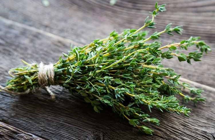 گیاهی برای رفع ناراحتی های کبدی