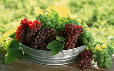 برای پیشگیری از سرطان، این مواد غذایی را بخورید