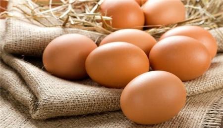 چگونه سن تخم‌مرغ را تشخیص دهیم+عکس