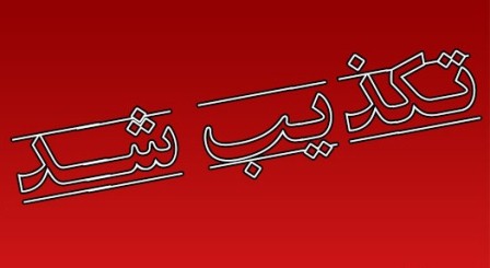  معاون سازمان برنامه و بودجه،  تکذیب کرد 