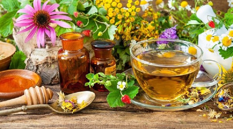  گیاهان دارویی کبد را بشناسید 