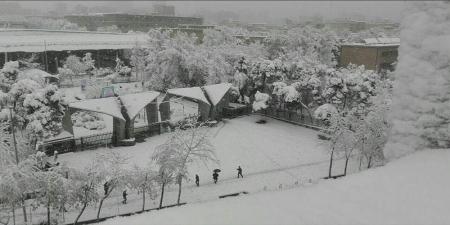 سردر دانشگاه تهران در صبح امروز + عکس