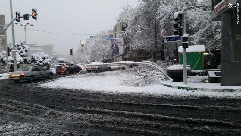 خم شدن چراغ برق بر اثر بارش برف در تهران! + عکس