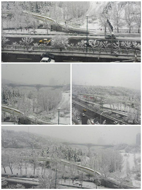 پل طبیعت تهران لباس سفید به تن کرد! + عکس