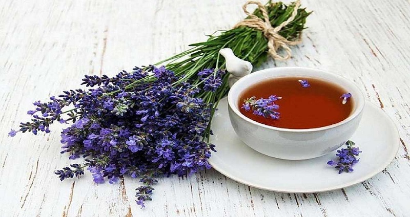 بهترین تنظیم کننده و تصفیه کننده قلب را بشناسید
