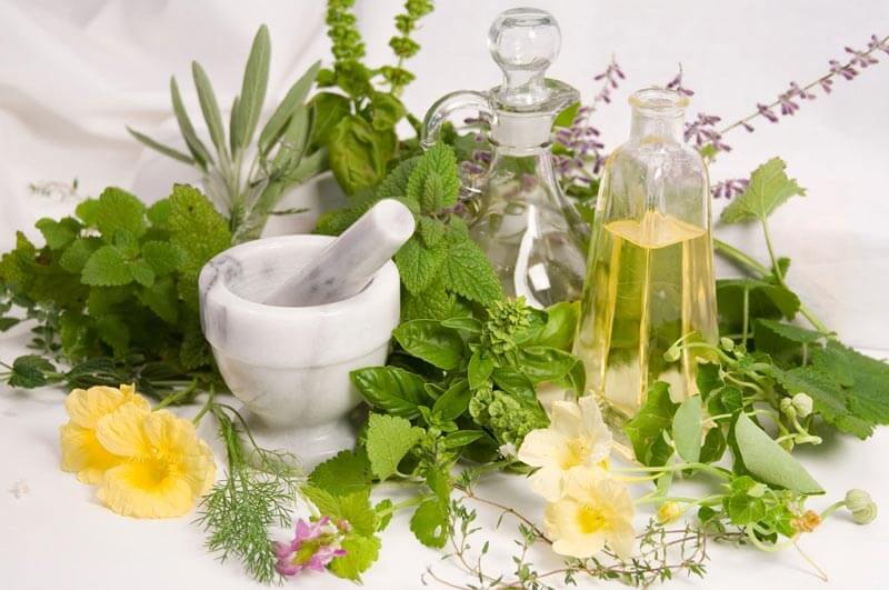  خطرات مصرف خودسرانه گیاهان دارویی