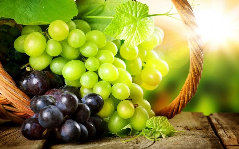 بهترین رژیم پاکسازی بدن در طب سنتی