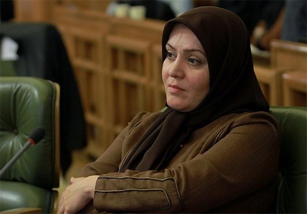 بی توجهی دولت به آسیب های اجتماعی در برنامه ششم/ مجلس جبران کند