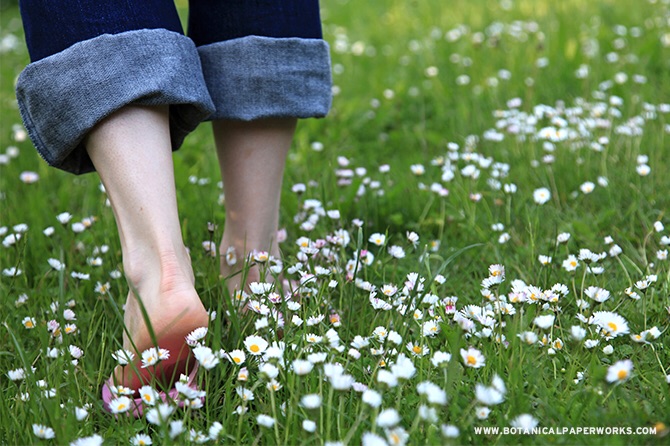 پیاده‌روی با پای برهنه بر روی چمن را از دست ندهید