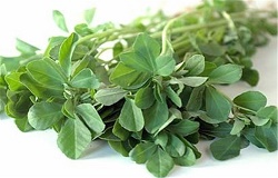 راهکار پُرپشت شدن موها از نگاه طب سنتی 