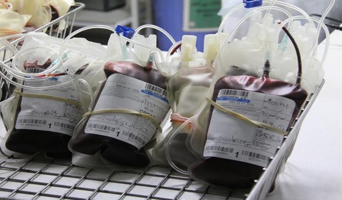 پیشرفت‌های انتقال خون طی ۴۰ سال گذشته 