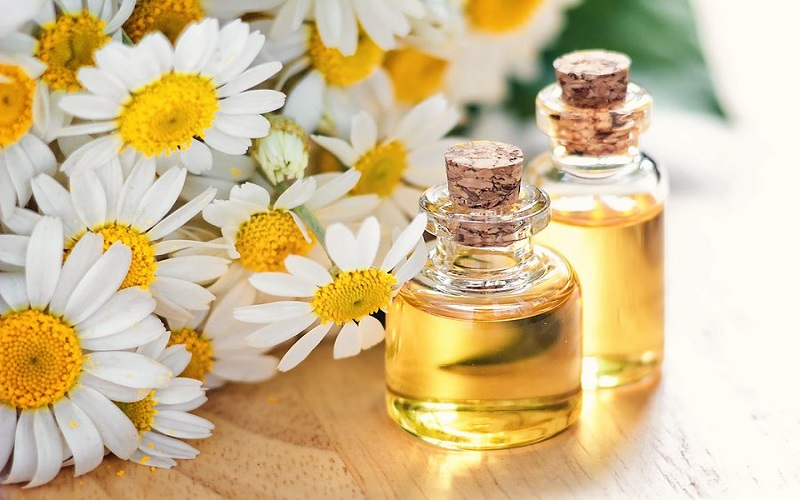  گیاه شگفت انگیز معروف به داروخانه سیار