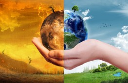 نهال شکننده پاریس در معرض توفان عدم قطعیت 2017 