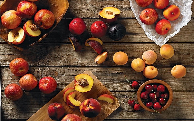4 هسته برای مقابله با تومورهای سرطانی