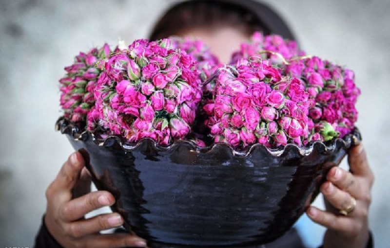  دمنوشی برای درمان ریفلاکس