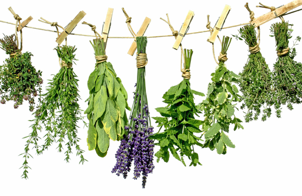 سبزیجات معطر؛ غنی کننده رژیم غذایی