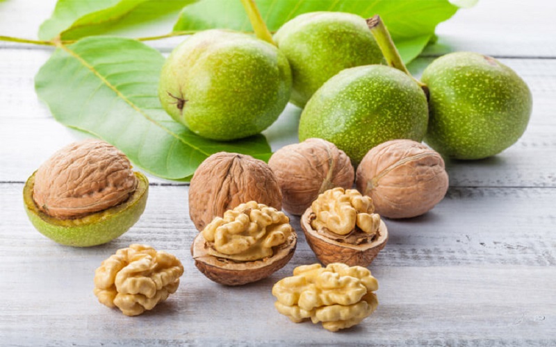 خواص گردو از منظر طب سنتی