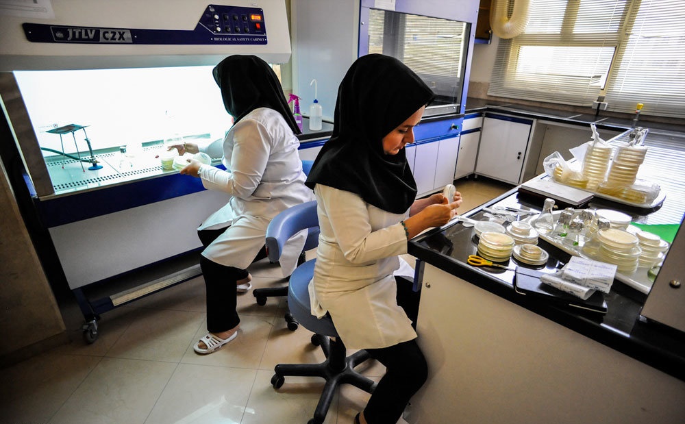 ظرفیت بالای پژوهشگاه رویان در حوزه های مختلف پزشکی 
