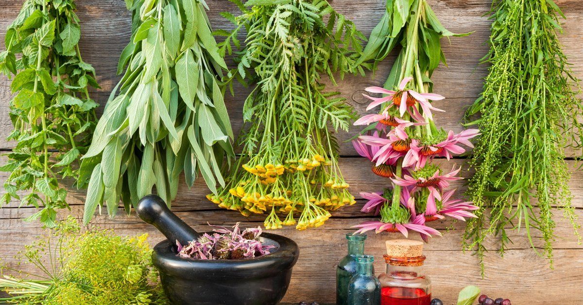 نسخه گیاهی برای درمان اقتصاد ایران