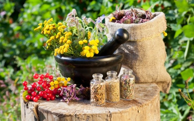 زخم بستر را با تدابیر طب سنتی التیام بدهید 