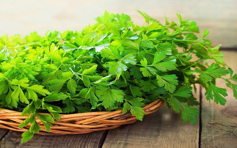 همه چیز درباره گیاه ضدسرطان 
