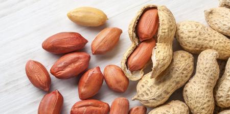  تاثیر بادام زمینی بر روده
