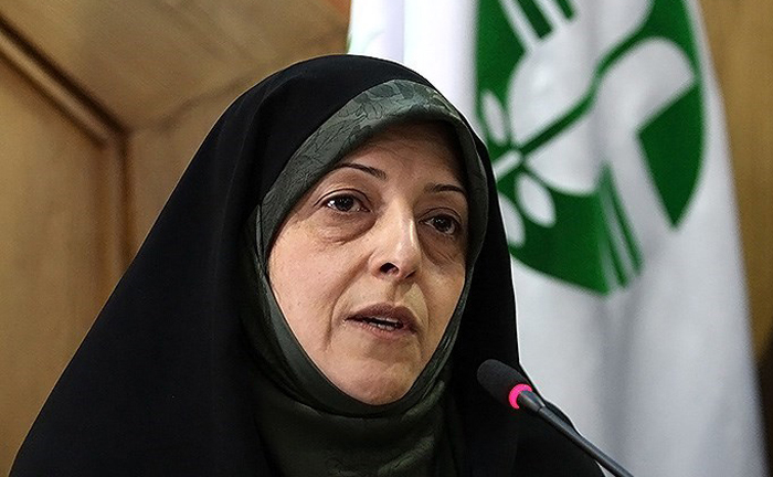اظهار نظر عجیب رئیس سازمان محیط زیست در توئیتر!