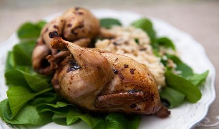 از فواید عالی گوشت بلدرچین بدانیم