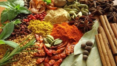 تربیت متخصصین طب ایرانی در 17 دانشگاه علوم پزشکی