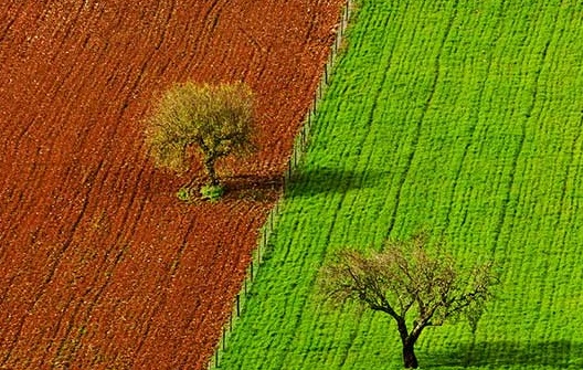 طبیعت ایران به نقطه شکننده‌ای رسیده است