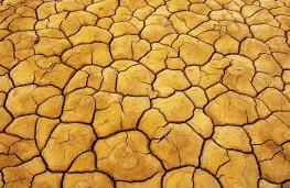 وضعیت کشور به شرایط گذشته باز نمی گردد 