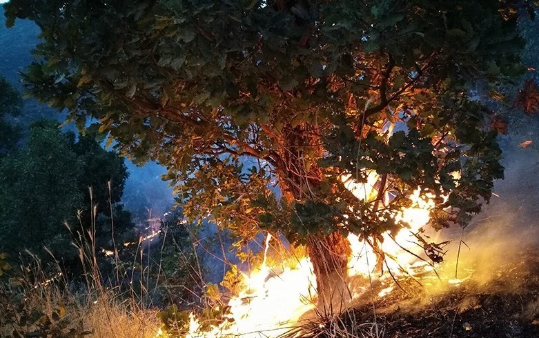 آتش سوزی منطقه جنگلی چهار طاق چهارمحال و بختیاری مهار شد