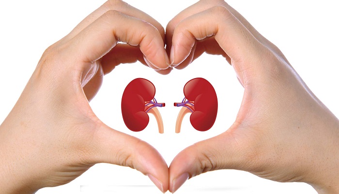  مهمترین علامت وجود مشکل در کلیه  را بشناسید