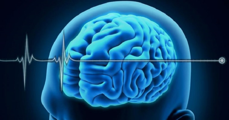 چرا مرگ مغزی قابل برگشت نیست؟