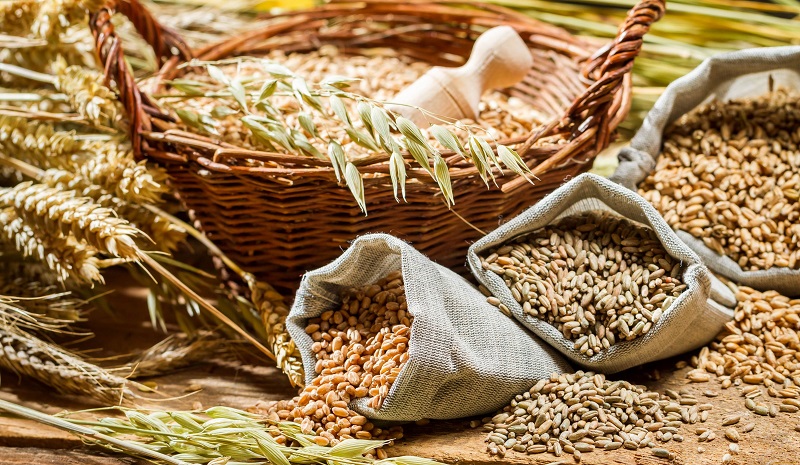 بهترین رژیم غذایی برای مبتلایان به صرع