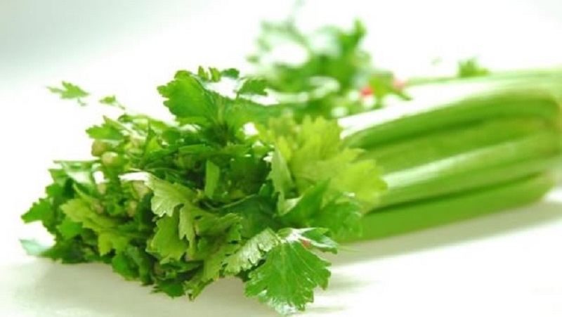 برای تصفیه خونتان، این سبزی را مصرف کنید