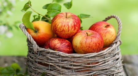  میوه ای که با چربی خون می جنگد 
