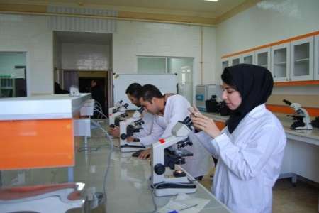  تولید مواد اولیه 4 دارو با روش نوین در دانشگاه امیرکبیر
