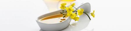  آشنایی با مضرات و خواص روغن کانولا