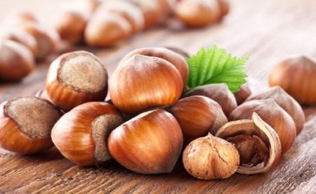  خوردن فندق  برای سلامتی چه مزایا و خواصی دارد؟