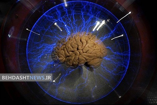 شناسایی ارتباط بین تکان مغزی و آلزایمر